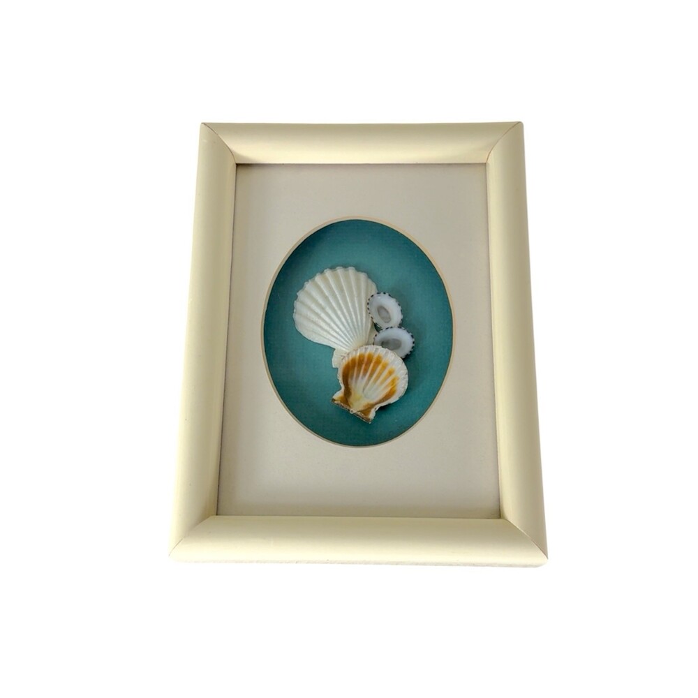 Vintage Framed Seashell 3D Shadow Box Frame Art Teal Coastal Beach House Decor